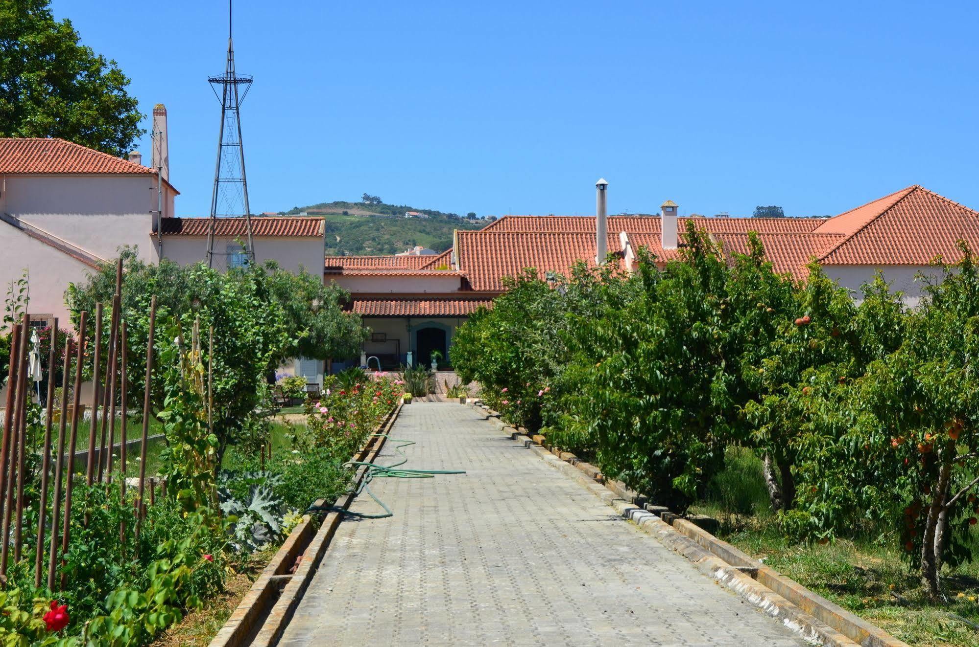 Quinta Do Covanco Alenquer Exterior foto